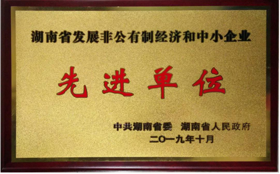 湖南蓝思科技最新招聘信息详解，获取、应聘步骤指南（初学者与进阶用户必读）