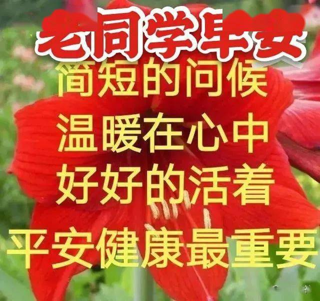 最新同学们早上好图片分享