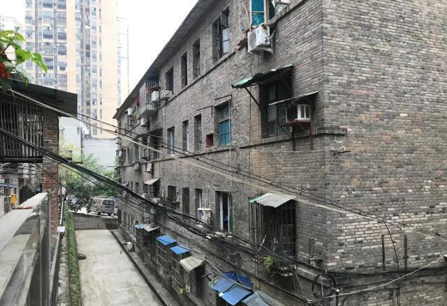 德国最新动态揭秘，小巷深处的独特惊喜