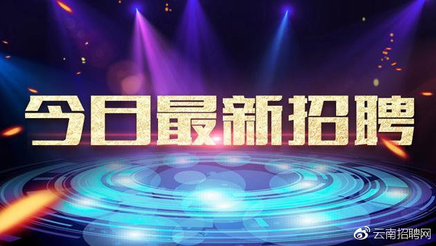 曲靖招聘网最新招聘，科技引领求职新体验