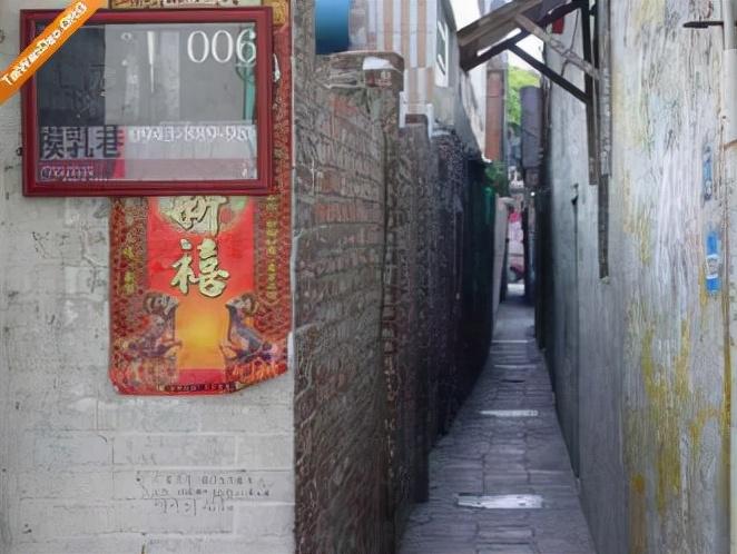 香港台风最新消息与小巷独特风味探秘今日报道