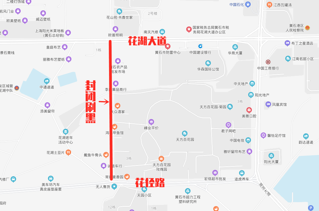 孔令辉的最新动态，变化中的力量，指引前行之路