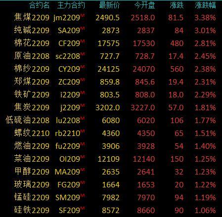 棕榈油最新动态报告，市场更新与趋势分析
