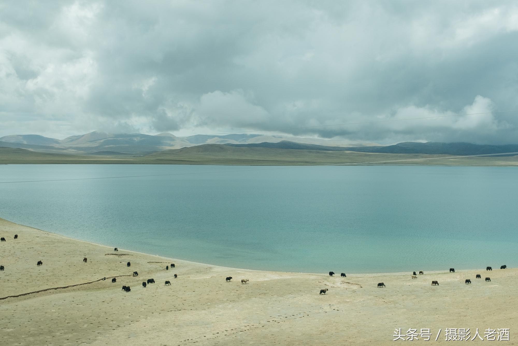 最新合集新片速递，启程探索自然美景，寻觅内心平静之旅