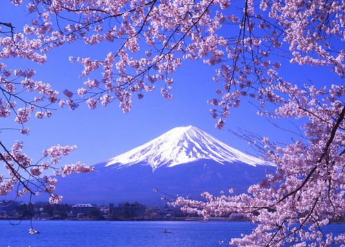 日本最新加勒比之旅，自然美景的探索与鼓舞人心的旅程