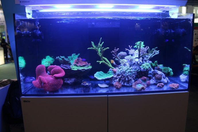 最新鱼缸新款图片，家居水族世界的创新潮流风采