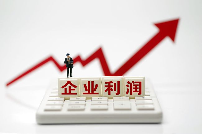 岳阳最新招聘揭秘，巷弄深处隐藏的职业机会探索！