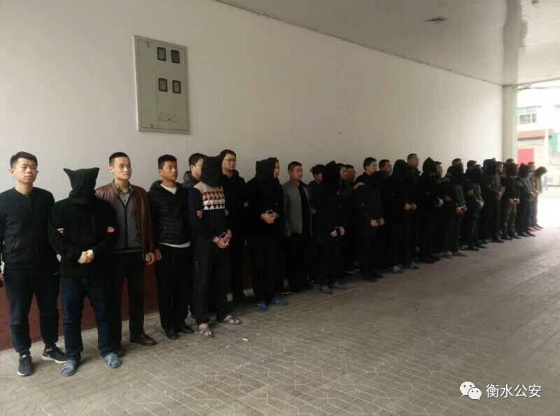 衡水最新案件，变化的力量与学习的魅力展现