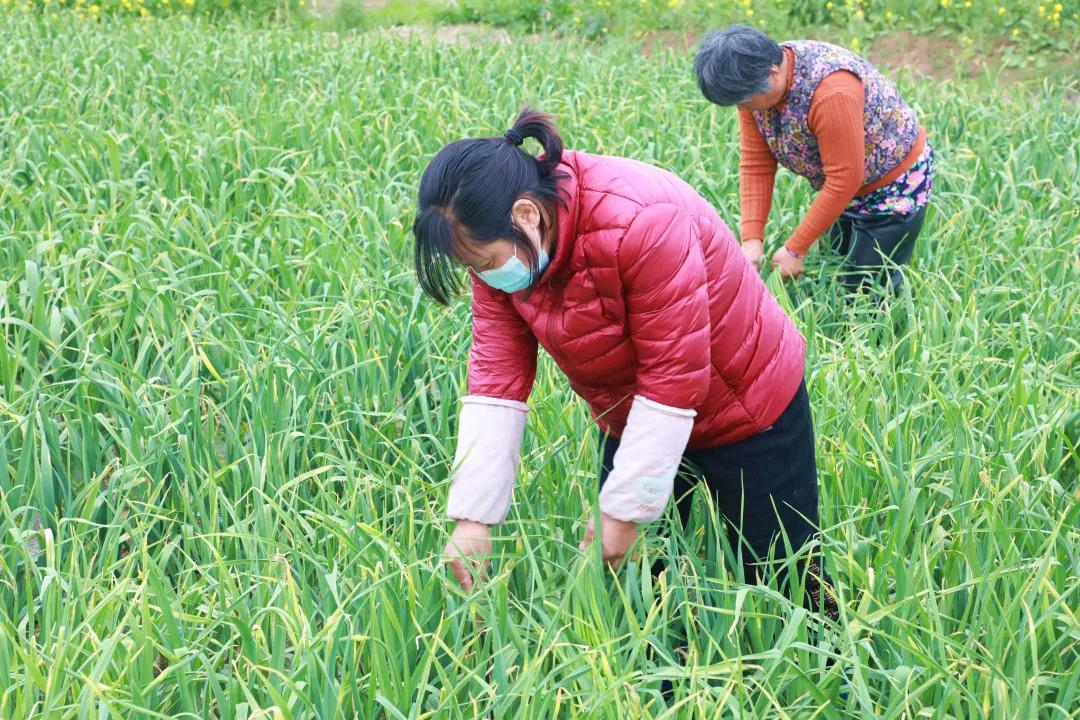 丰县最新招聘信息及获取指南