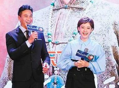 靳东最新电视剧深度解析与观点阐述