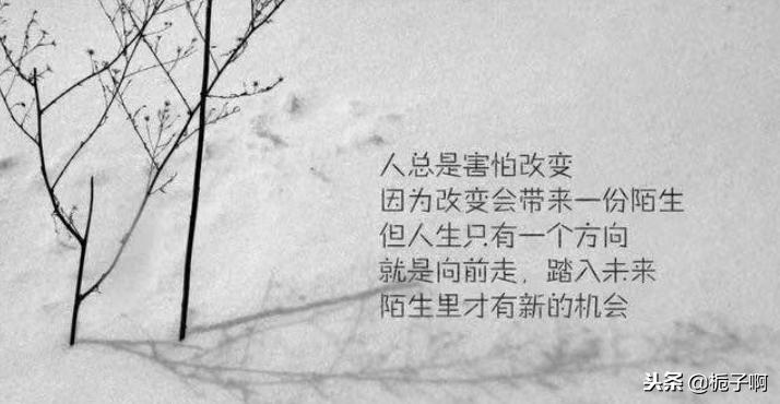 上海今日最新动态，自然美景探索之旅，寻找内心平和与喜悦