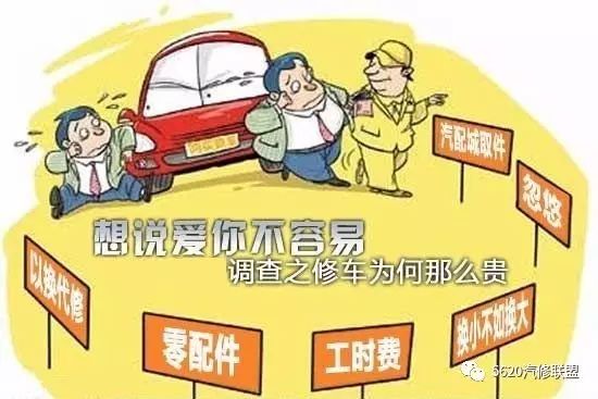 最新产假政策与小巷独特小店探秘！