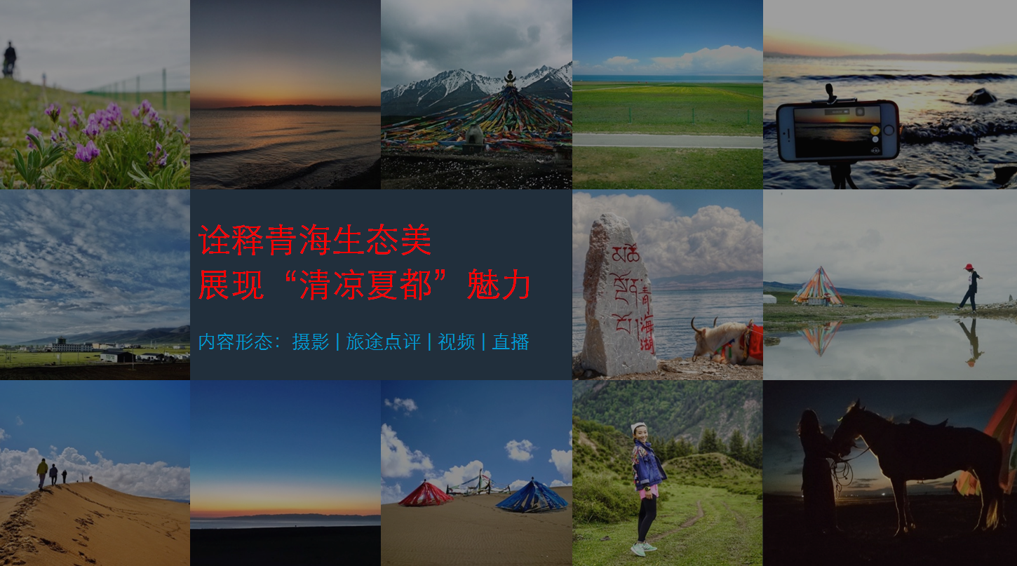 物流新闻动态与探索自然美景之旅，重拾内心宁静的旅程