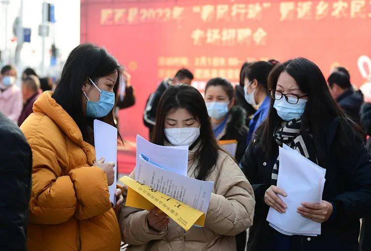 肥东最新招聘，开启欢笑与温情的求职之旅