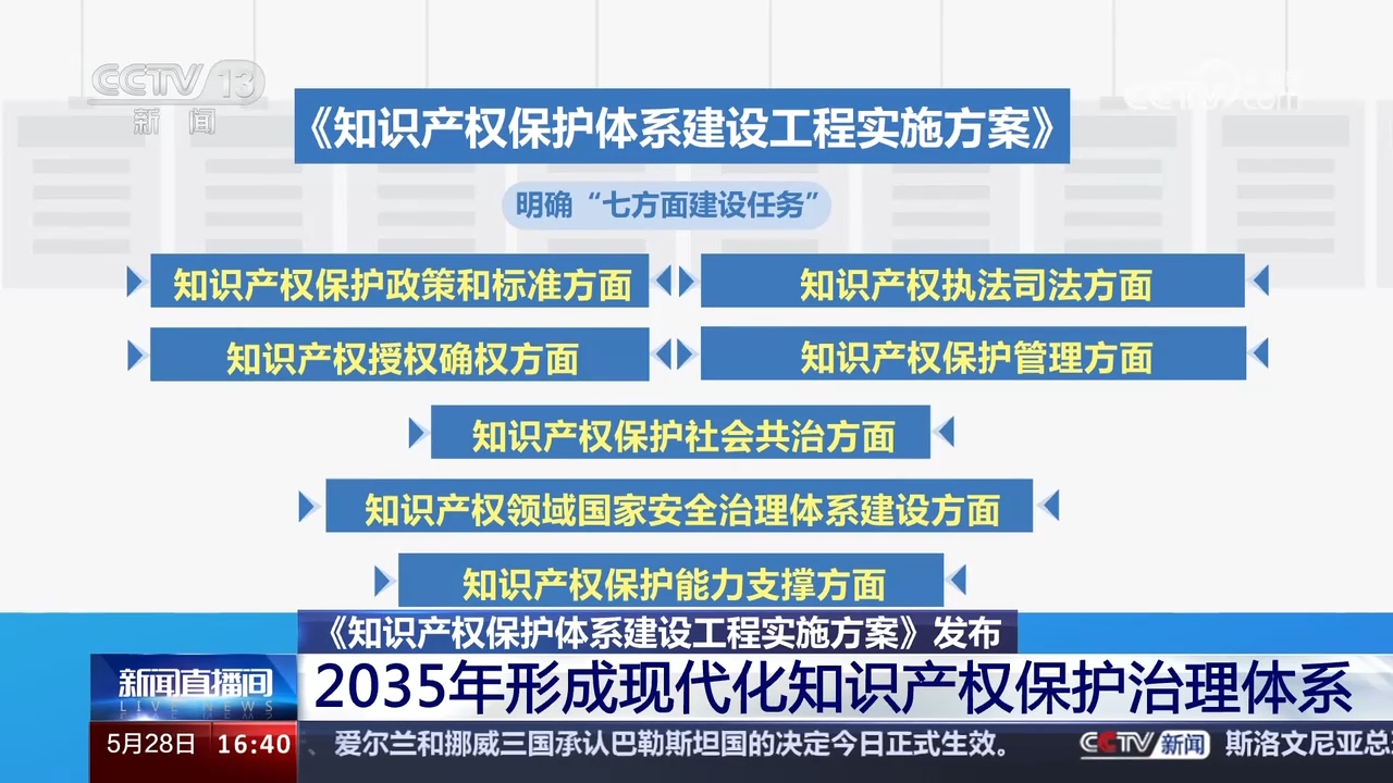 知识产权最新动态与小巷中的隐藏瑰宝探秘