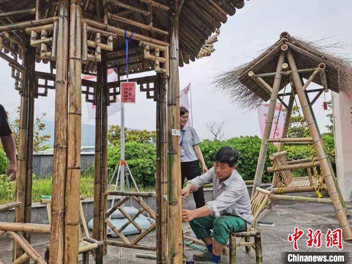 苍溪新闻最新动态，拥抱自然，踏寻内心平静的旅行