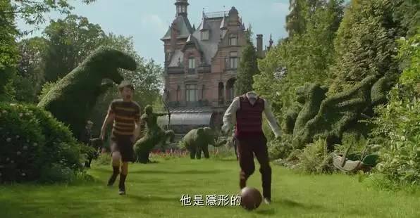 苏珊最新，自然美景中的心灵之旅，探寻内心的平和与喜悦