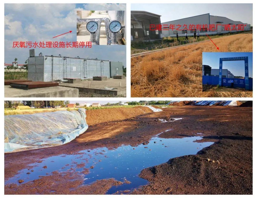 宿州最新新闻，高科技产品引领未来，体验科技魅力改变生活