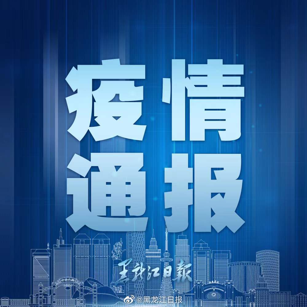 黑龙江最新疫情通报更新，疫情最新动态与通报