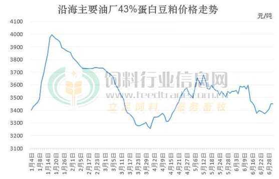 今日豆粕最新价格与小巷美食探索之旅