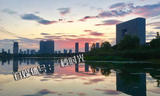 镇江最新新闻，城市温情与友情日常报道