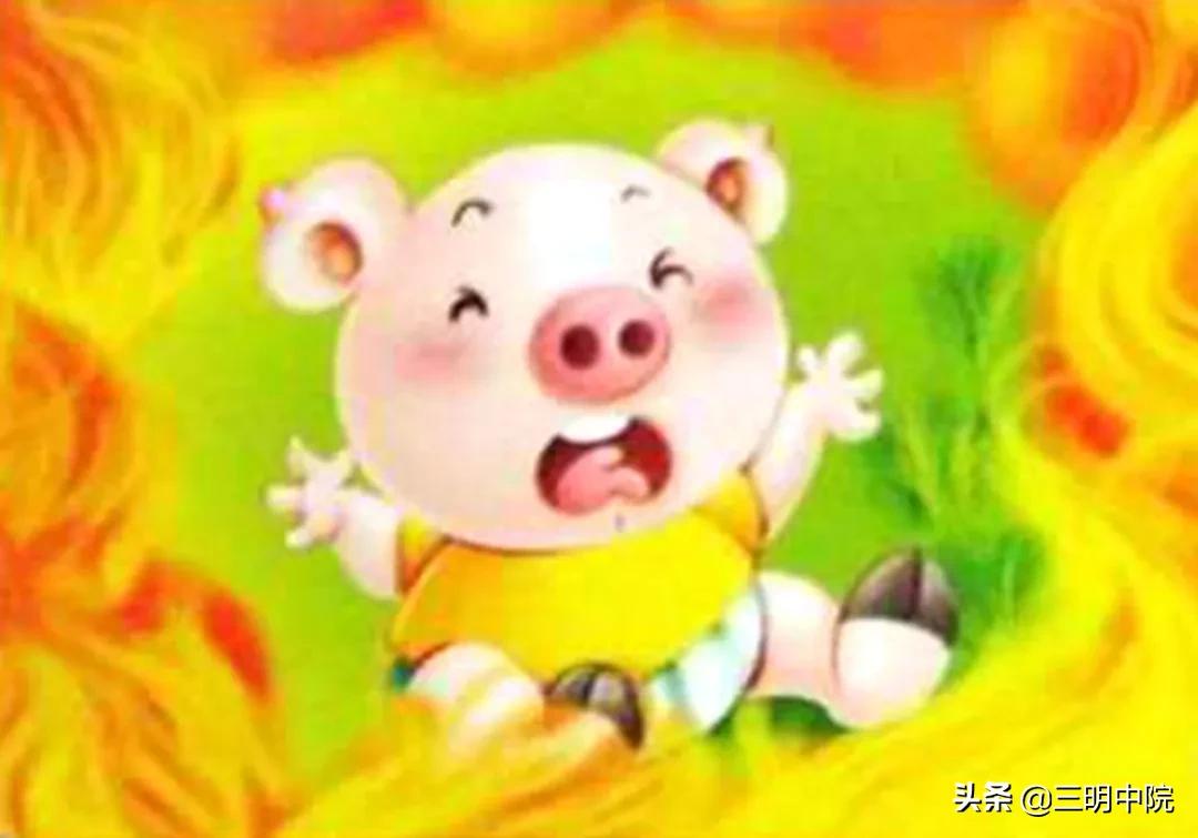 今日生猪价格动态，变化中的学习，成就自信的养猪业观察
