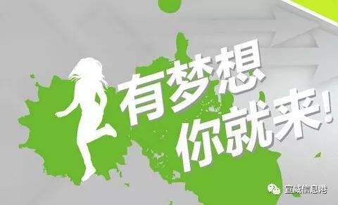 宣威最新招聘日常趣事概览