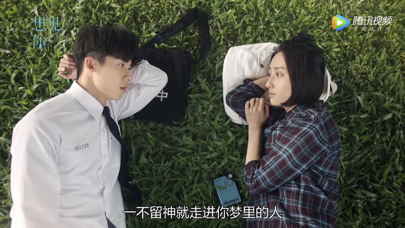 电视热播剧与自然美景的治愈之旅，最新电视剧探索之旅