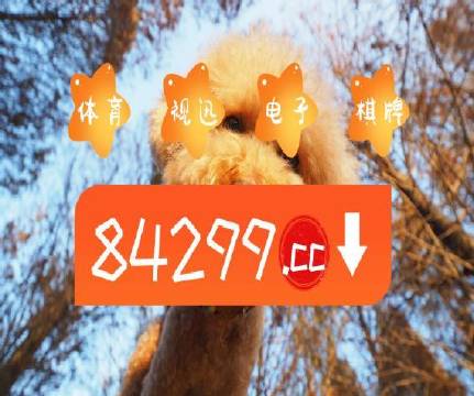 澳门天天开彩好正版挂牌图，快捷解决方案_钻石版19.67.81