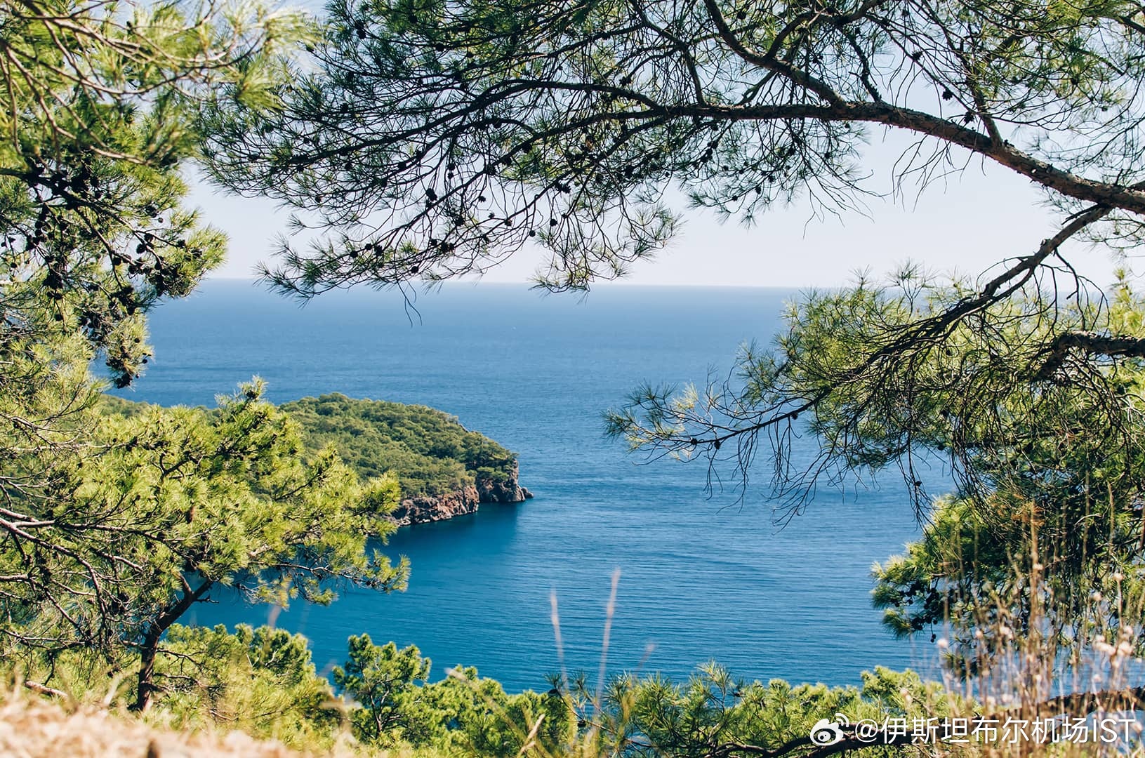 探索自然美景的治愈之旅，最新DX体验之旅