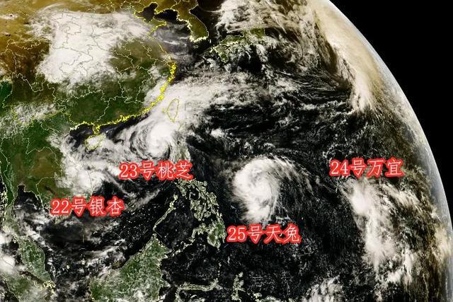 中国最新台风动态，深度解析与实时关注
