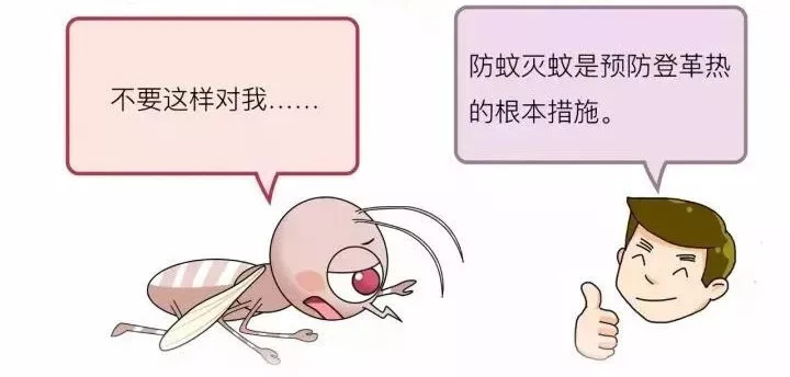 登革热最新动态与小巷深处的特色小店探秘