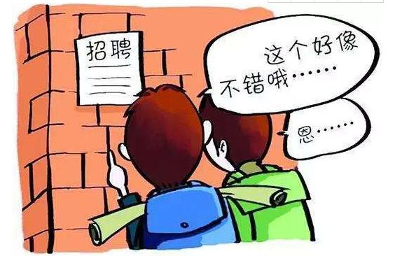 最新会计招聘信息揭秘，小明的求职奇遇与职场洞察