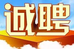 连云港招聘网最新招聘，时代脉搏与人才交响会