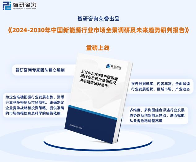 2024版新奥正版资料解析，安全策略深度解读——ZRH208.83活跃版