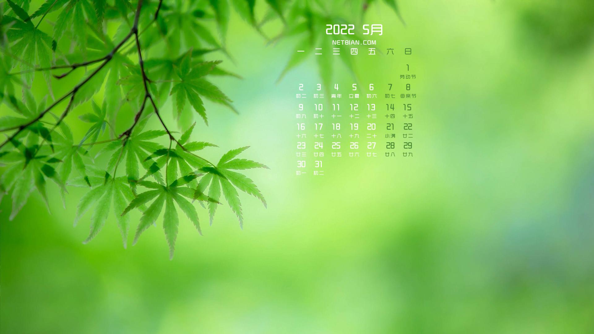 2022最新壁纸安装与定制指南，从初学者到进阶用户的详细步骤