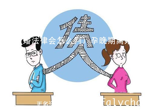 最新离婚法律详解，明智决策需知法律变革