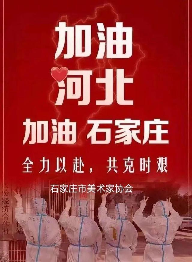 河北疫情最新动态，共守家园，共克时艰