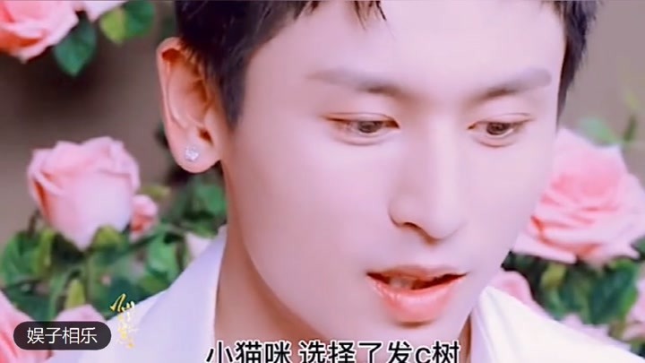 澳门2021雷锋免费资料，正版解答汇总_幻想版RQZ365.44