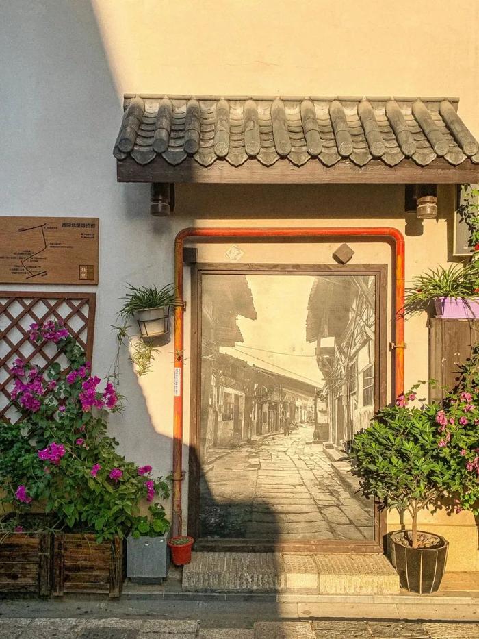限免最新特色小店，小巷中的隐藏宝藏，独特魅力一览