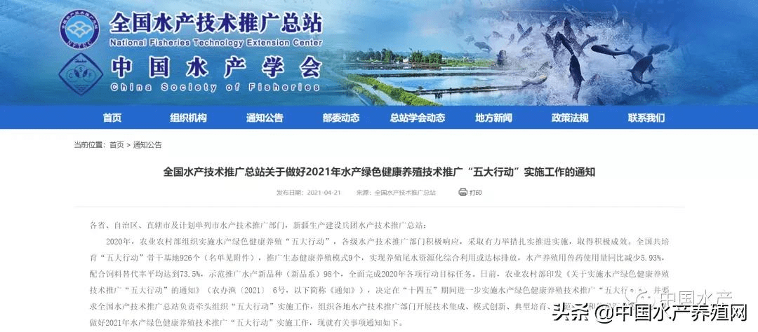 中央最新文件引领新时代，自信与成就感，共迎变化与挑战