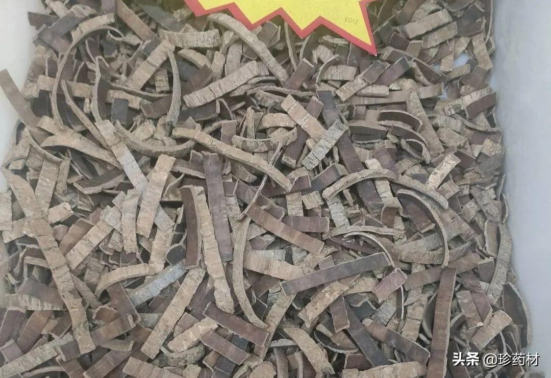 水蛭最新价格