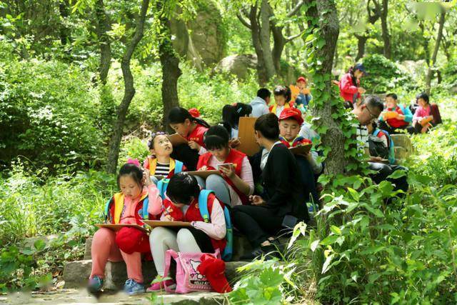 信用卡最新动态与探索自然美景之旅启程报道