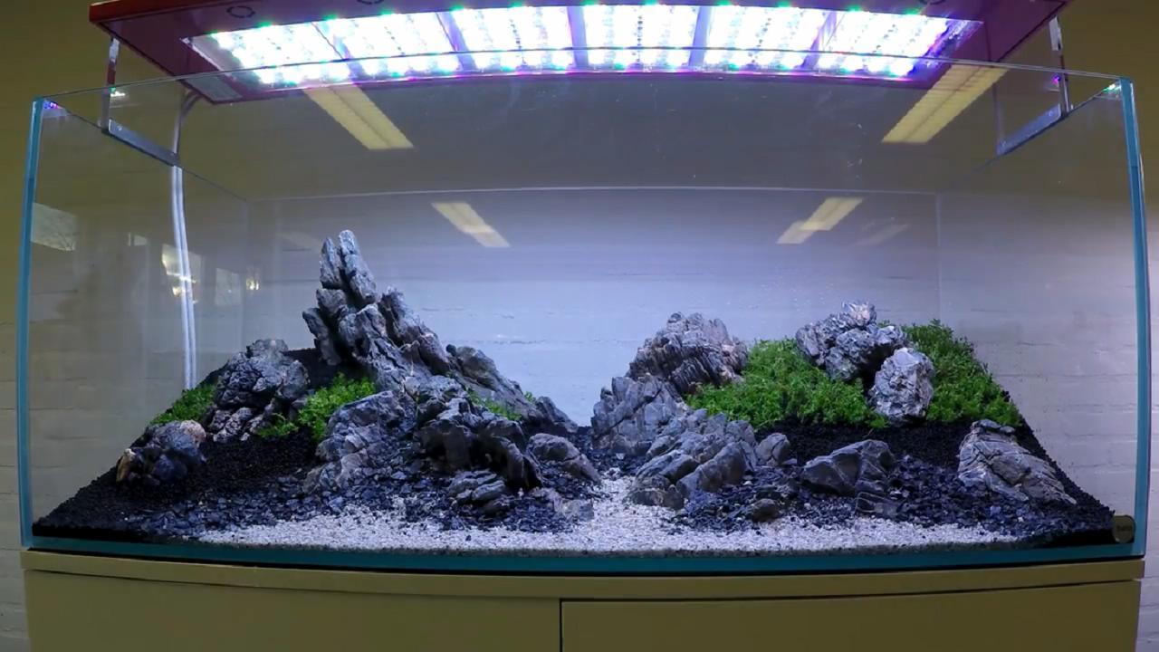 最新鱼缸新款图片，家居水族世界的创新潮流风采