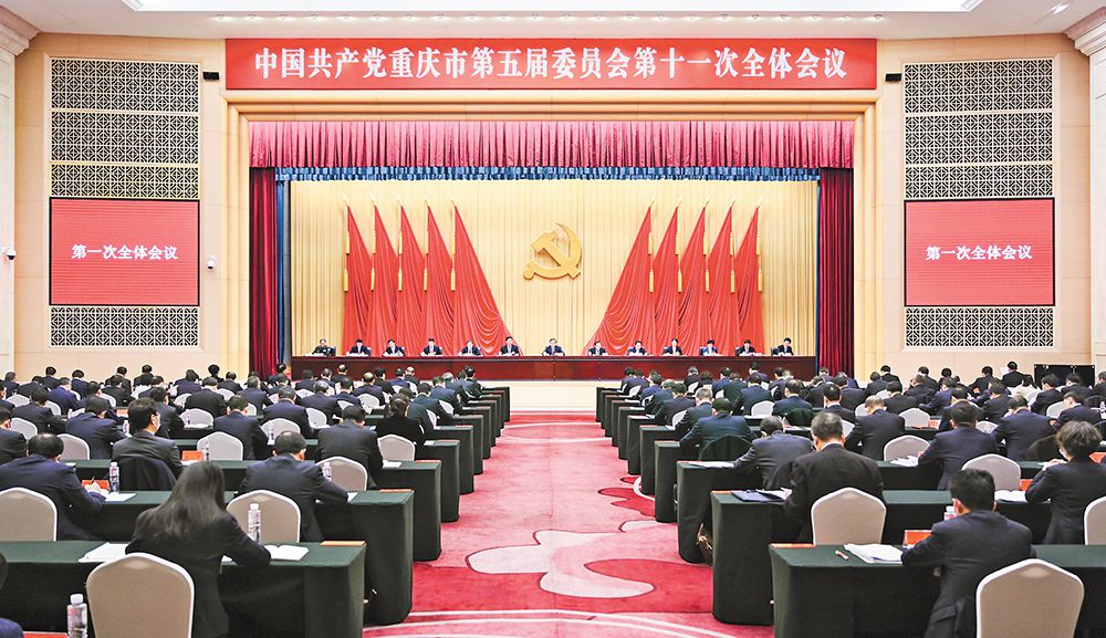 最新全会，开启变革之门，自信引领未来发展