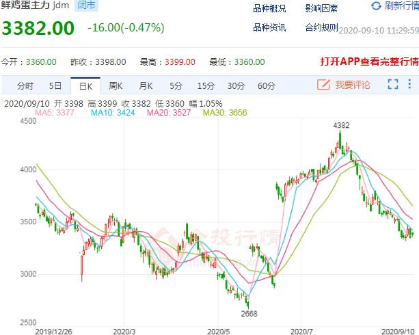 鸡蛋价格最新动态，市场走势分析及其影响