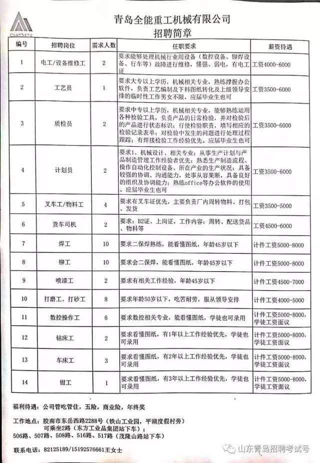 山东最新招聘信息深度解读与个人择业探讨