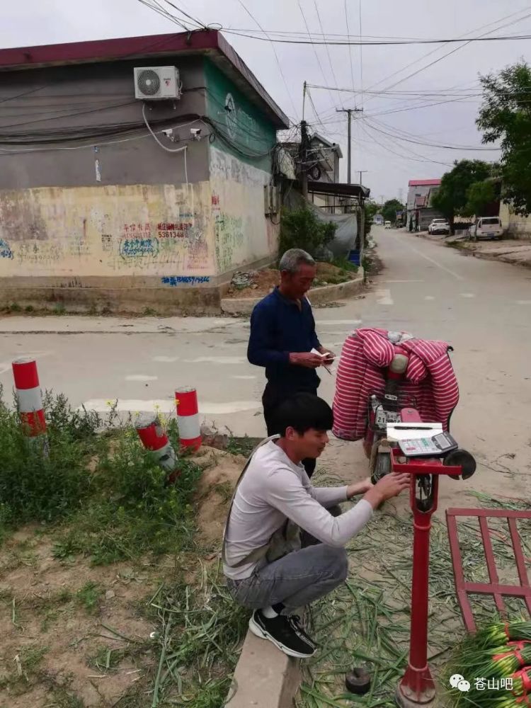 钢筋最新报价，时代的印记与行业的脉搏同步更新