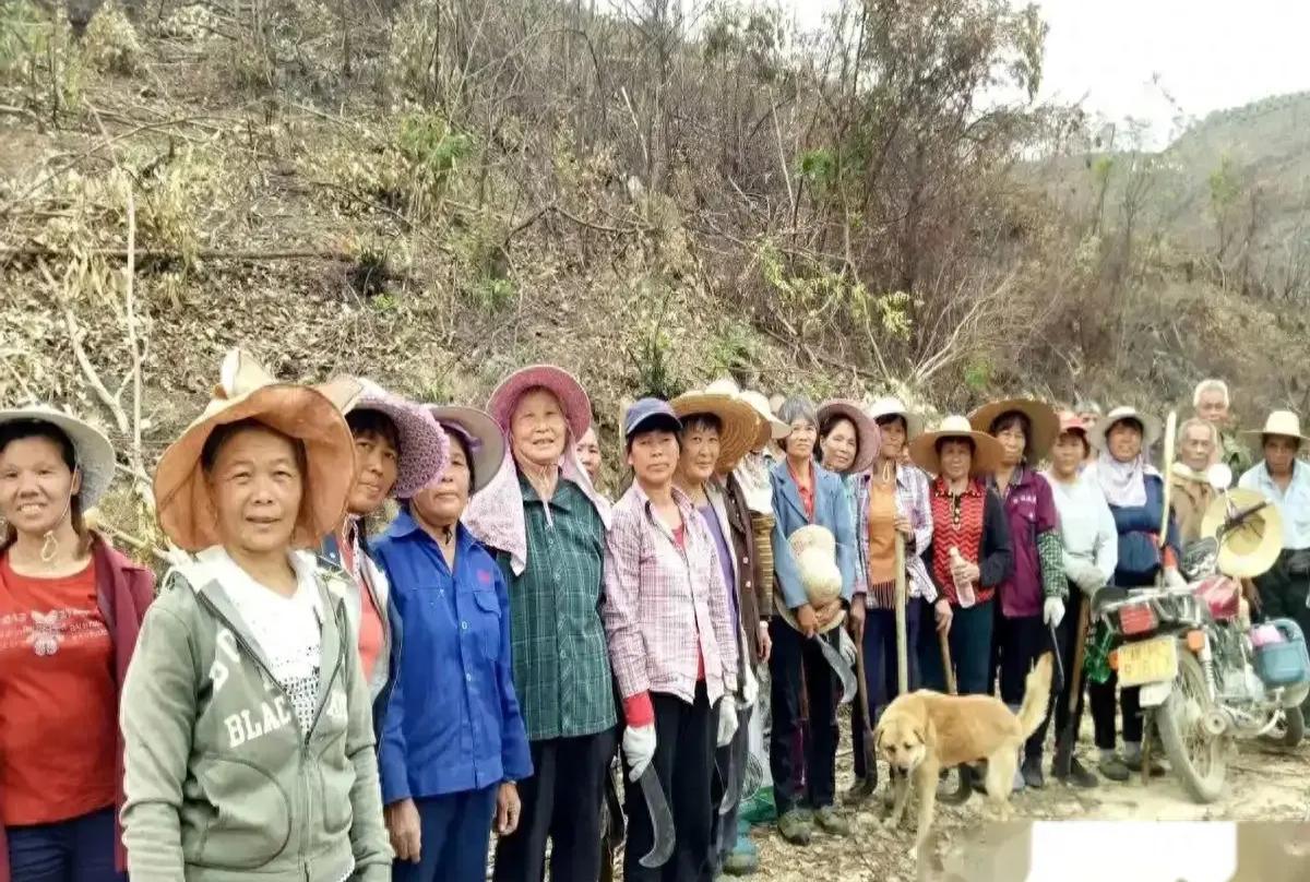 新希望最新动态，科技重塑生活，前沿高科技产品体验革新