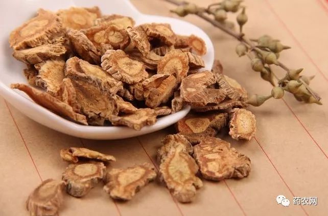 防风最新价格探索及小巷深处的独特风味